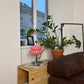 LueurRose – Retro Tischlampe mit Dimmbarem LED und USB