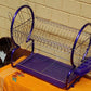 2 Layered Coated Dishracks