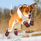 Frendorf | PawGrip Rutschfeste Hundestiefel | Schutz für Hundepfoten | Wasserdicht & Bequem