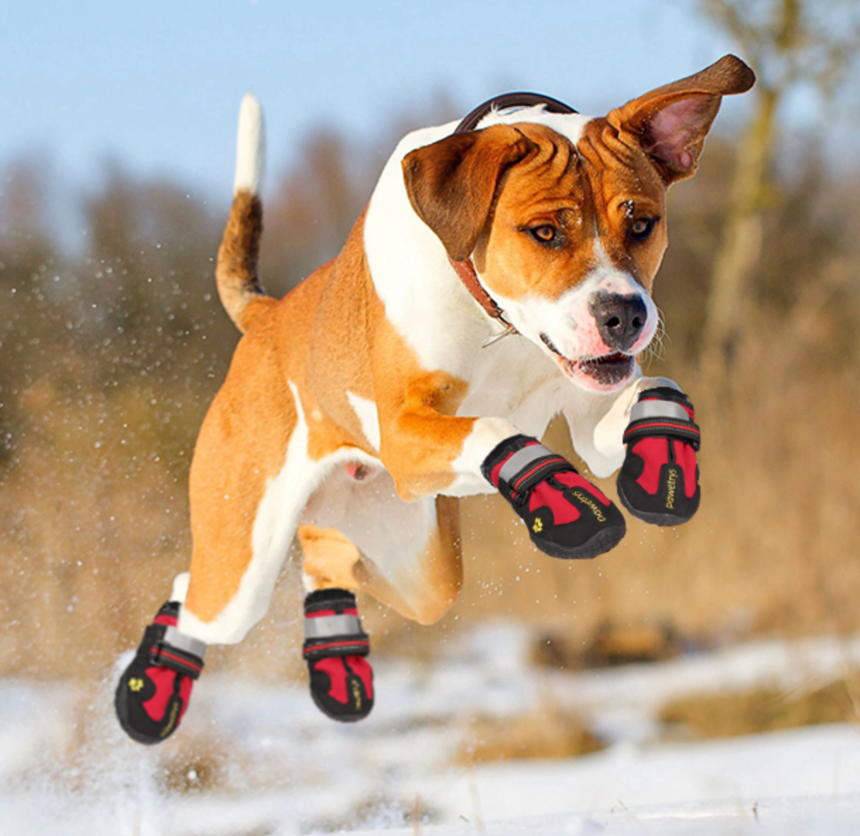 Frendorf | PawGrip Rutschfeste Hundestiefel | Schutz für Hundepfoten | Wasserdicht & Bequem