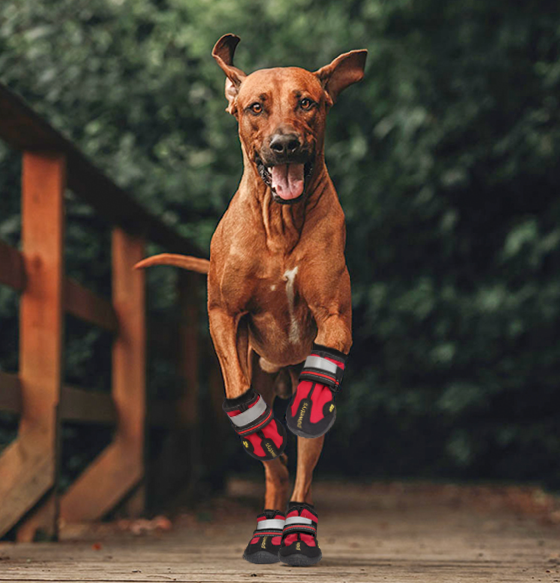 Frendorf | PawGrip Rutschfeste Hundestiefel | Schutz für Hundepfoten | Wasserdicht & Bequem