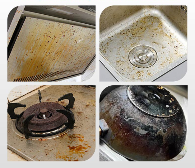 Frendorf | 2500W Dampfreiniger mit Hochdruck und einstellbarer Dampfintensität