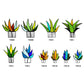 Frendorf | Agave Simulation Sonnenfänger