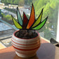 Frendorf | Agave Simulation Sonnenfänger