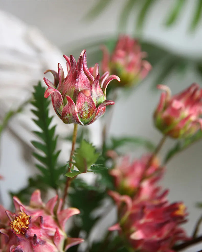 Frendorf | Künstlicher Protea Cynaroides Zweig
