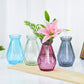 Transparente einfache Glas-Blumenvase, kleine frische Blumentopf, Aufbewahrungsflasche, Zuhause, Wohnzimmer, Dekoration, Ornamente, Blumenarrangement