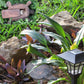 Frendorf | Versteckte Stein Design Garten Sicherheitsbox