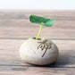Frendorf | Vaseona Kreative Vase aus Steinzeug | Dekorative Blumen-Vase | Hydroponischer Pflanzentopf | Zen-Stil für Zuhause & Büro