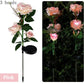 Outdoor Solar LED Blumenlampe