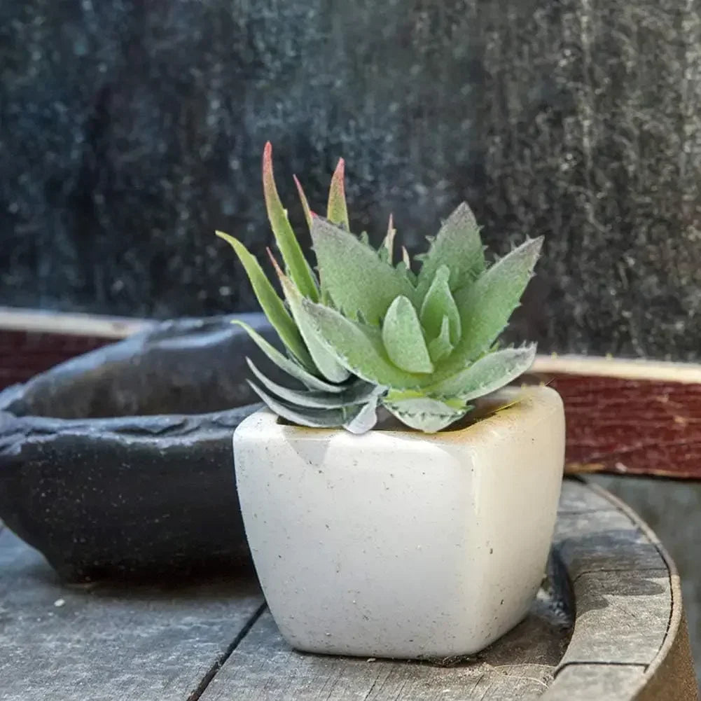 Frendorf | 16 Stück Realistische Texturierte Künstliche Sukkulenten Set – Mini Kunstpflanzen für Zuhause, Büro, Garten & DIY Dekor