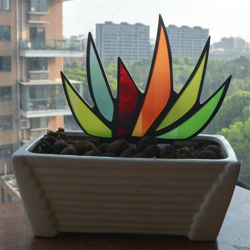 Frendorf | Agave Simulation Sonnenfänger