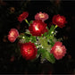 Outdoor Solar LED Blumenlampe