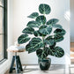 Frendorf | 105 cm künstlicher Fiddle Leaf Baum – Apfelblatt-Seidenpflanze für Zuhause, Büro & Jubiläumsdekoration – Topf, Bodenauslage