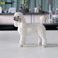 Mode Hund Modell Simulation Tier Kollektion Dekoration Handwerkskunst Figuren Miniaturen Wandbilder Zubehör Einrichtung Modelle