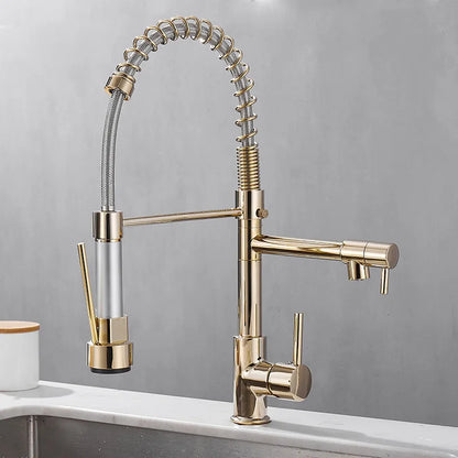 Frendorf | FlowSelect Wasserhahn mit Doppel-Auslauf | Modernes Design | Multifunktionaler Küchenarmatur | Hochwertige Materialien