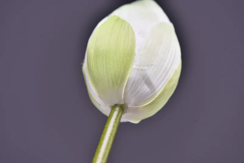 Frendorf | Künstliche Lotusknospenblume