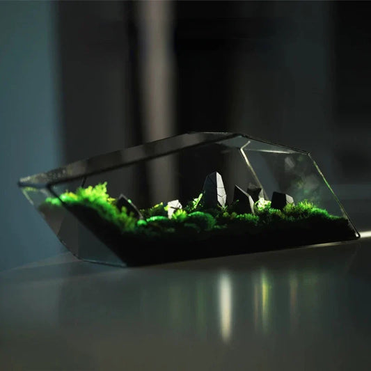 Frendorf | Geometrische Glas Moos Pflanztopf Terrarium Vase