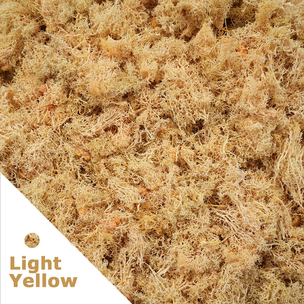 Frendorf | 200g Künstliches Grünes Moosgras – Mini Ewiges Leben Kunstgras für DIY-Basteleien, Haus- & Garten dekoration