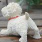 Frendorf | TerriCraft West Highland Terrier Figur | Harz Hundemodell | Deko für Zuhause & Auto