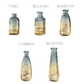 Frendorf | Gradivo Gradient Glasflaschen-Vasen | Modernes Design | Stilvolle Wohnaccessoires
