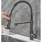 Frendorf | FlowSelect Wasserhahn mit Doppel-Auslauf | Modernes Design | Multifunktionaler Küchenarmatur | Hochwertige Materialien