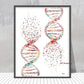 DNA-Genetic-Code-Poster, Einzelhelix-Baumdesign-Leinwandmalerei-Poster für die Wohnkultur Wohnzimmer-Wandkunst für das Schlafzimmer