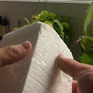 Frendorf | Blossy - Kristall-Pilz-Gläser