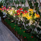 Outdoor Solar LED Blumenlampe