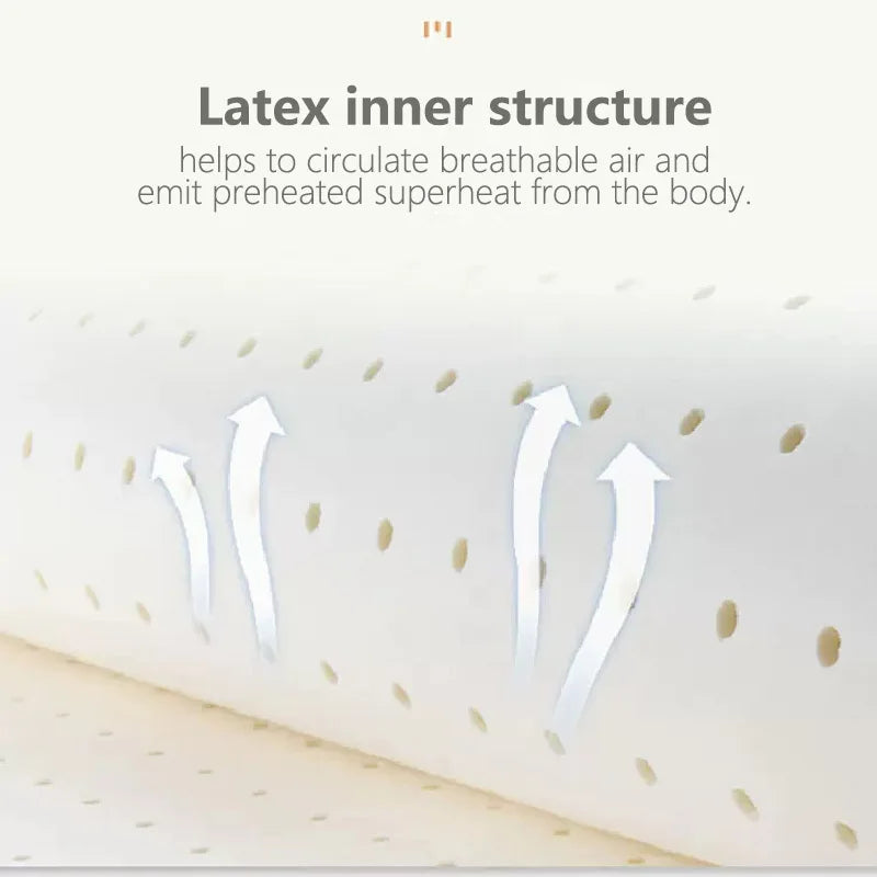Frendorf | Ultra Cooler Latex Waschbarer Bequemer Lese Rückenpolster