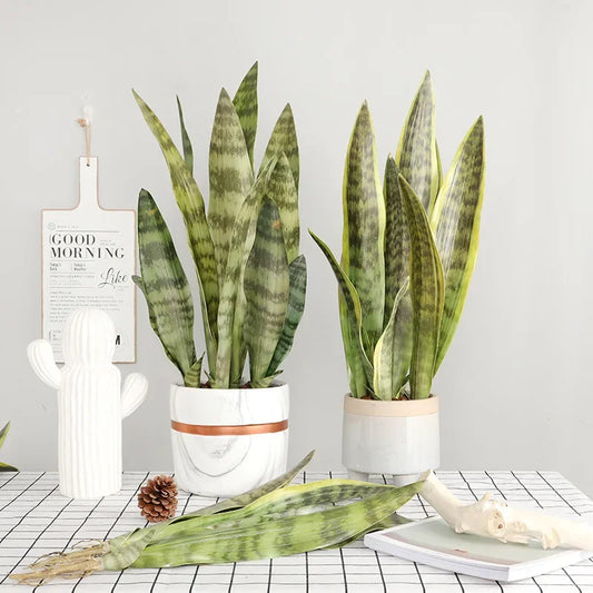 Frendorf | 3 Stück Künstliche Sansevieria Pflanzen – Bonsai Dekoration mit Tiger Piran Blättern für Zuhause, Garten und Desktop Dekor