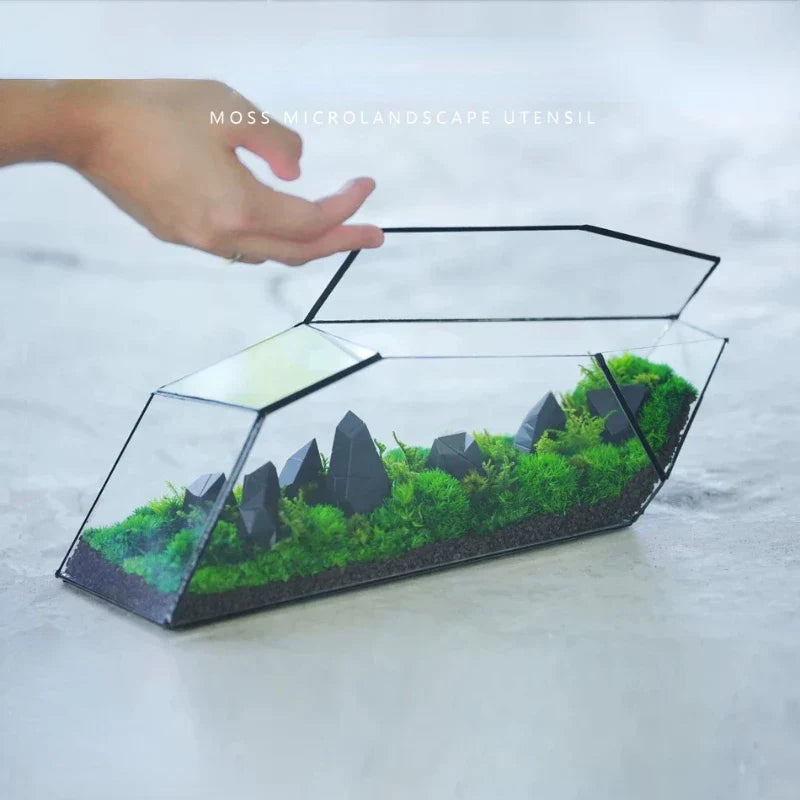 Frendorf | Geometrische Glas Moos Pflanztopf Terrarium Vase