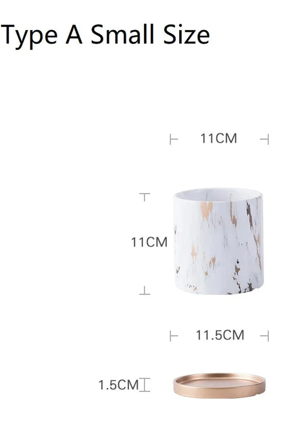 Marmor Goldblatt Pflanzen Topf Set