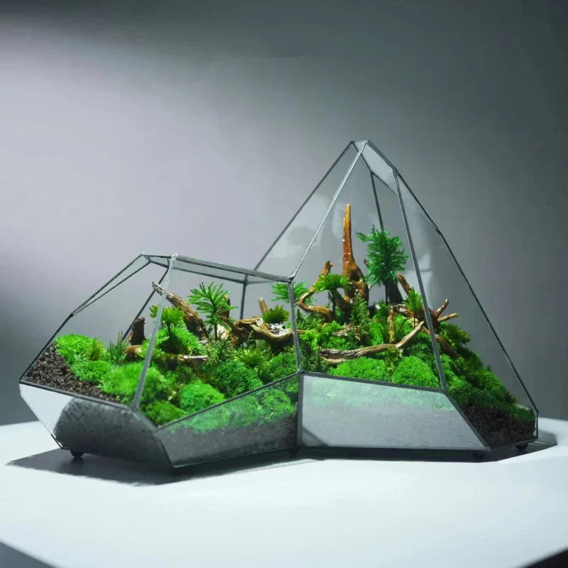 Frendorf | Geometrische Glas Moos Pflanztopf Terrarium Vase