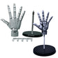 Frendorf | Multi-Pose Zeichnen Sculpting Kunst Hand Modell