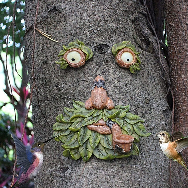Augen der Natur: Baumgesicht Vogelfutterstation