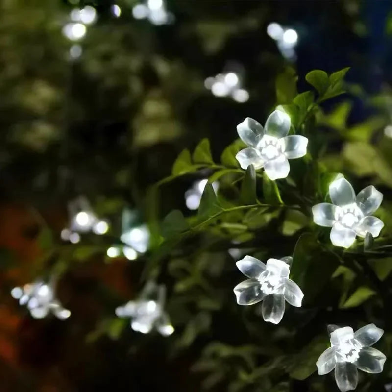 GloomBlossom | Solar-Außenleuchten in niedlichen Blumenformen