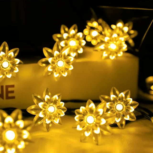 Pfirsichblüten Lichterkette