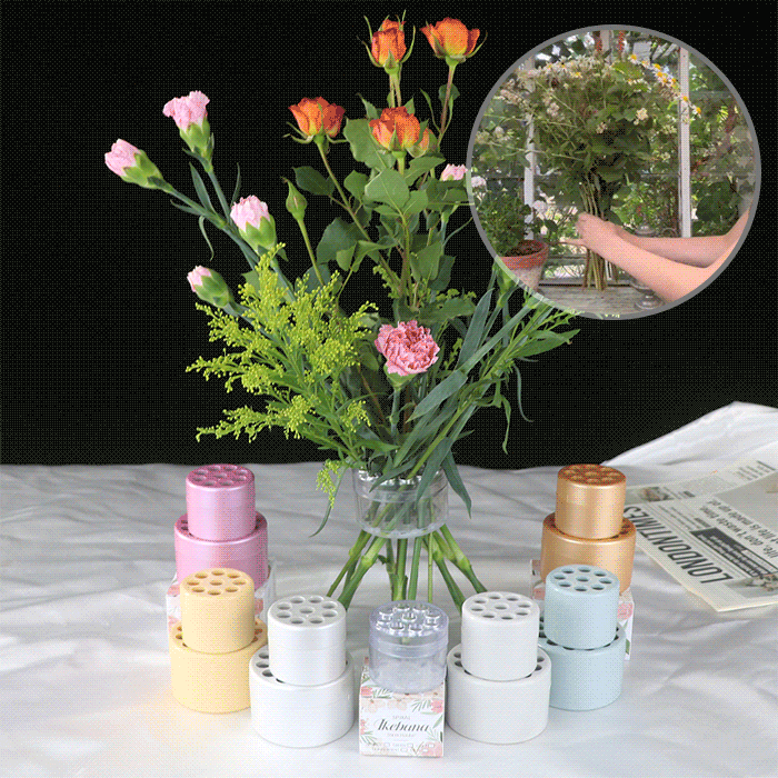 Spial Ikebana Stammhalter