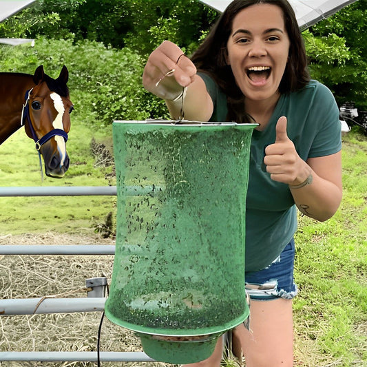 Frendorf | Stabile Fliegenfalle