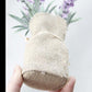 Frendorf | MagnaBloom Kompakte Magnetpflanzen | Dekorative Kunstpflanzen | Weiß, Lavendel & Foliage | Wand- und Kühlschrankdeko
