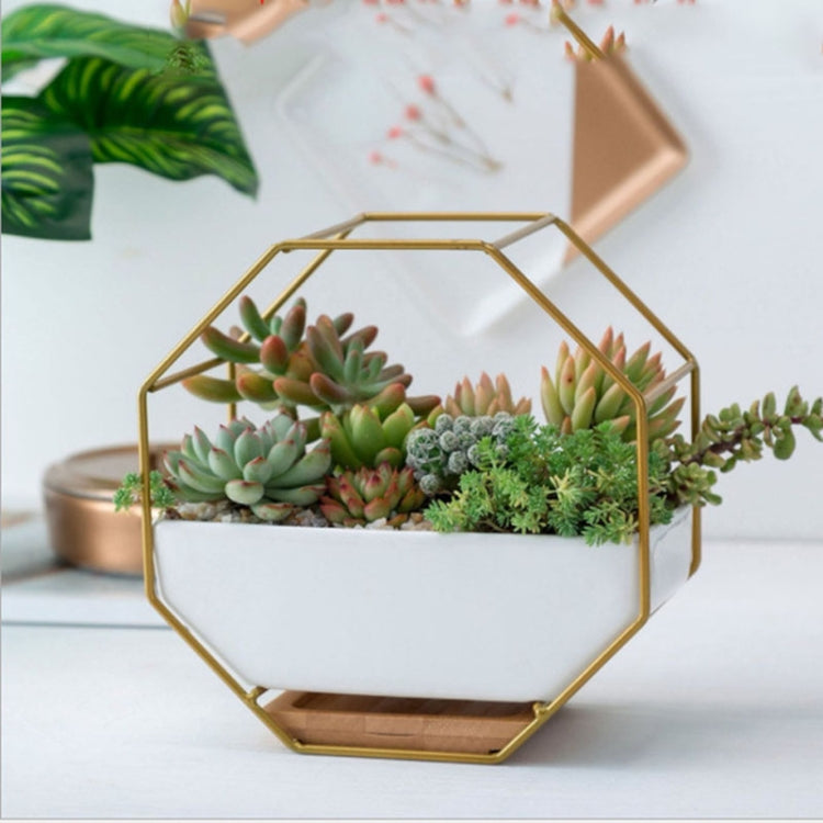 Einfache oktagonale geometrische Wandhängende Tabelle Sukkulent Platte Bambus Unterstützung Eisenrahmen Blumentopf (Gold)