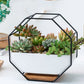 Einfaches octagonales geometrisches Wandhängen Tisch Sukkulenten Platauf bamboo Unterstützung Eisenrahmen Blumentopf (schwarz)