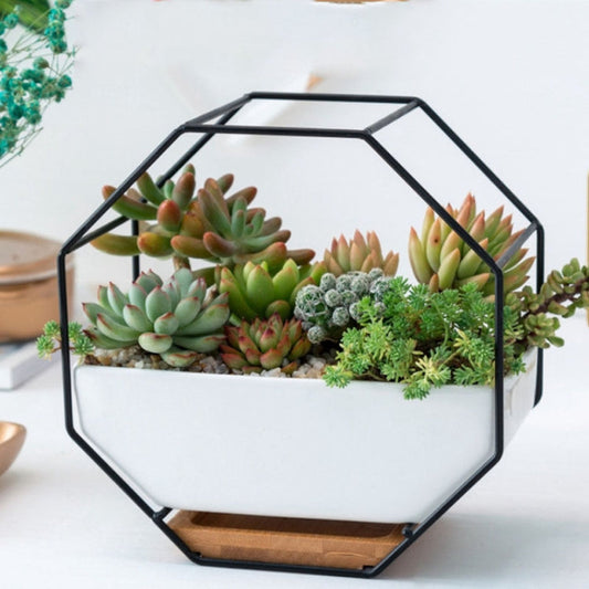 Einfaches octagonales geometrisches Wandhängen Tisch Sukkulenten Platauf bamboo Unterstützung Eisenrahmen Blumentopf (schwarz)