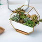 Einfaches octagonales geometrisches Wandhängen Tisch Sukkulenten Platauf bamboo Unterstützung Eisenrahmen Blumentopf (schwarz)