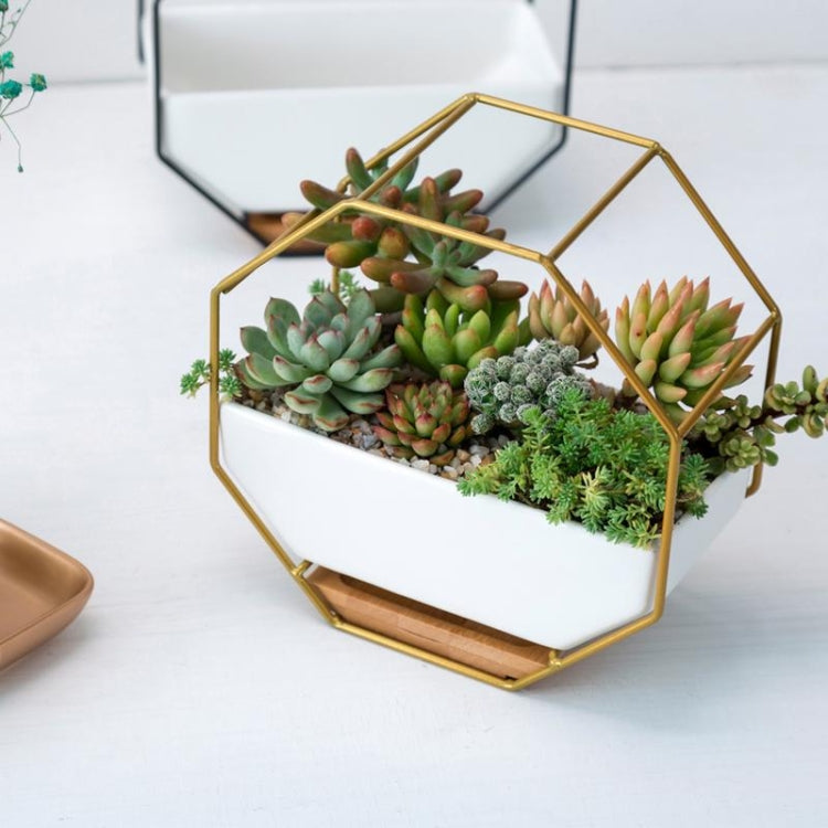 Einfaches octagonales geometrisches Wandhängen Tisch Sukkulenten Platauf bamboo Unterstützung Eisenrahmen Blumentopf (schwarz)