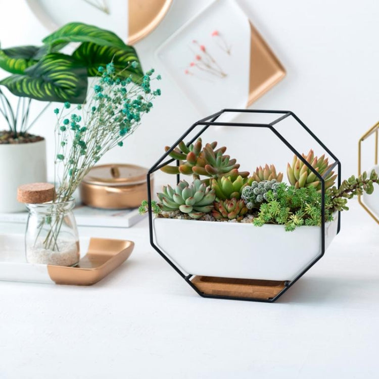 Einfaches octagonales geometrisches Wandhängen Tisch Sukkulenten Platauf bamboo Unterstützung Eisenrahmen Blumentopf (schwarz)