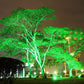 30W Fernbedienung Außen wasserdicht Laserlicht Garten Dekoration Rasenlampe, grünes Licht + rotes Licht (UK-Stecker)