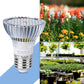 LED-Pflanzenwachstumslampe Vollspektrum E27 Pflanzenfülllicht, Leistung: 100W 150 Lampenperlen