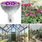 LED-Pflanzenwachstumslampe Vollspektrum E27 Pflanzenfülllicht, Leistung: 100W 150 Lampenperlen