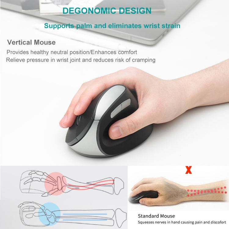 Frendorf | Rapoo MV20 Ergonomische Drahtlose Stille Vertikale Maus (Stille Version)